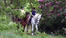 Ireland-Kilkenny-Mount Juliet Equestrian, Golf and Spa Retreat